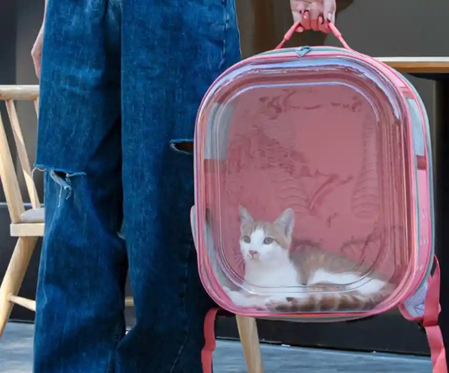 Morral Cargador Para Mascota Transparente