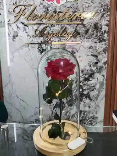 Rosa Inmortalizada Con Luz