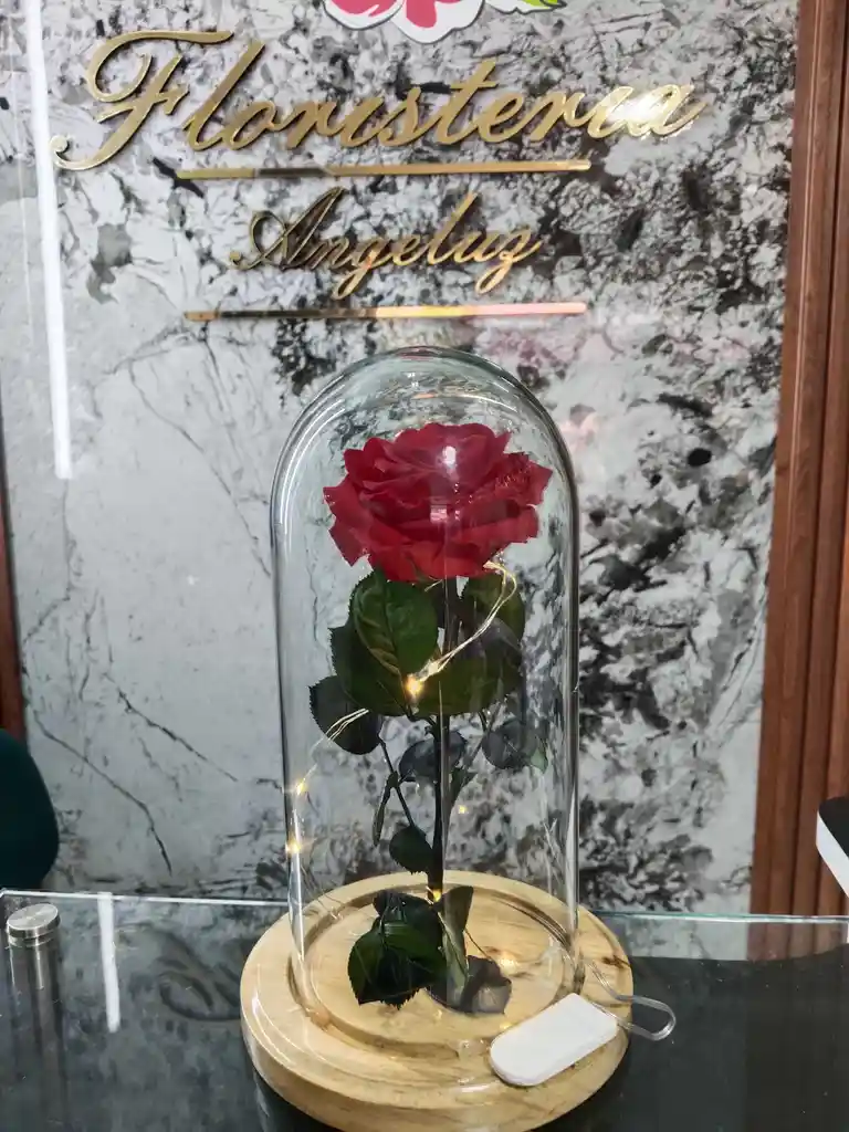 Rosa Inmortalizada Con Luz