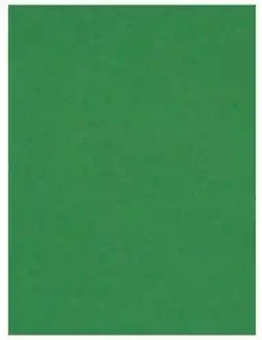 Cartulina Plana 1/8 Verde En Octavo