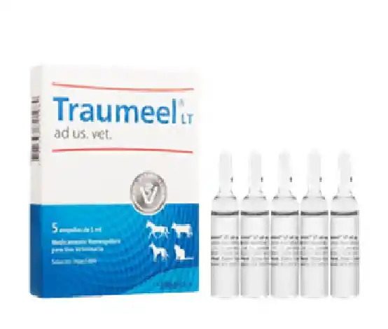 Traumeel Heel Ampolla X5ml