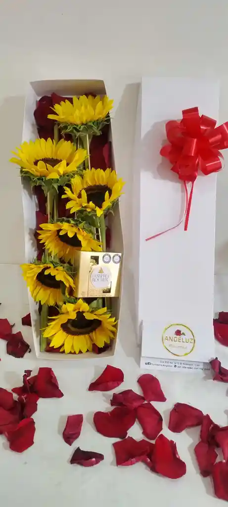 Caja De Girasoles