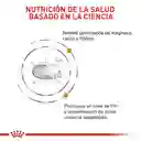 Royal Canin Urinary S/o Gato 1.5 Kg