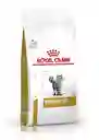 Royal Canin Urinary S/o Gato 1.5 Kg