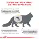 Royal Canin Urinary S/o Gato 1.5 Kg