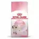 Royal Canin Kitten 2 Kg