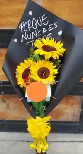 Girasoles 3