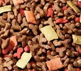 Monello Gato Salmón Y Pollo 15 Kg