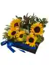 Flores De Girasoles Y Whisky