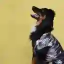 Chaleco M Metalizado Plateado