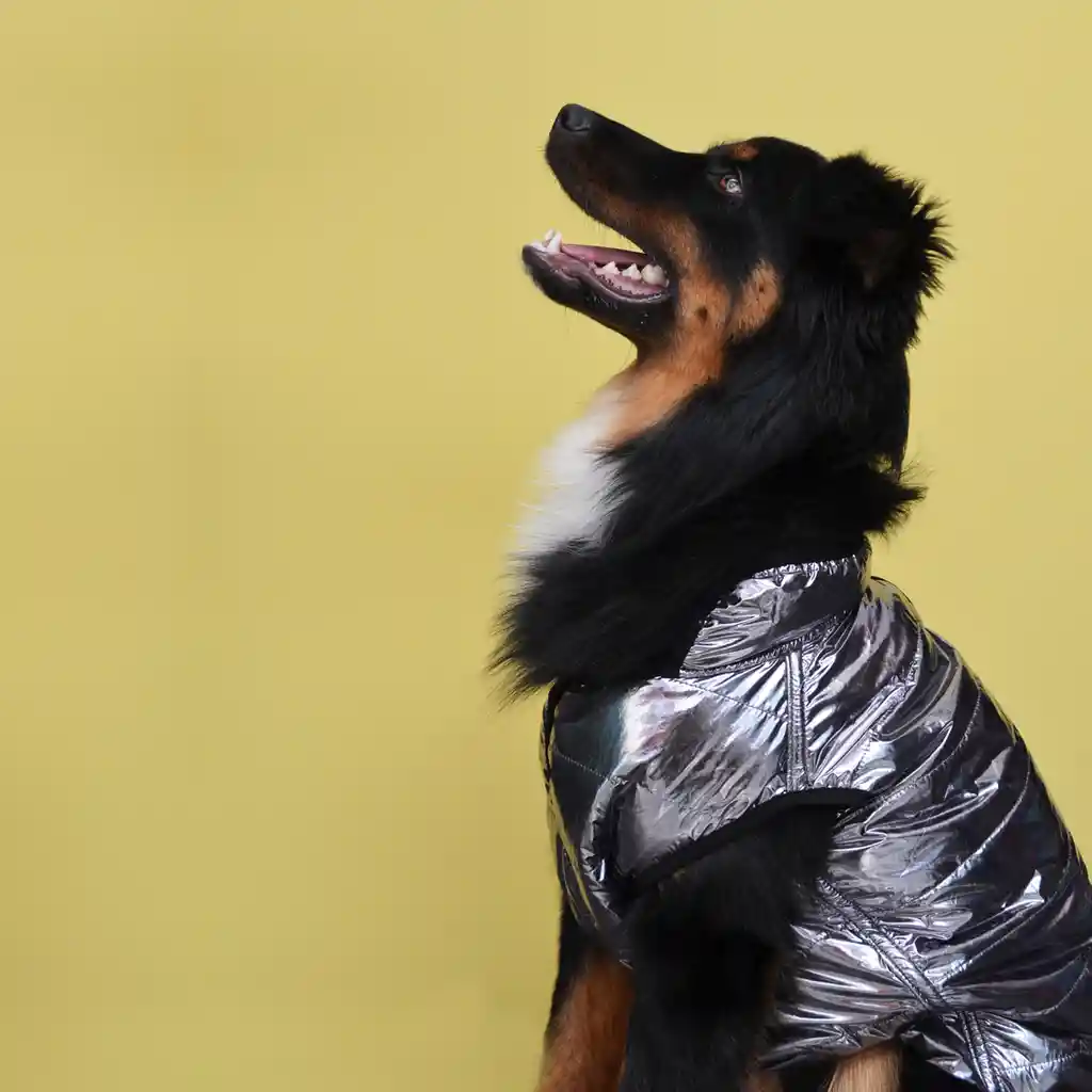 Chaleco M Metalizado Plateado