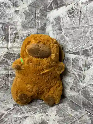 Capibara Con Tortuga