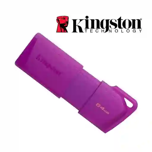 Memoria Flash Usb Kingston De 64 Gb Exodia M Morada Color Violeta