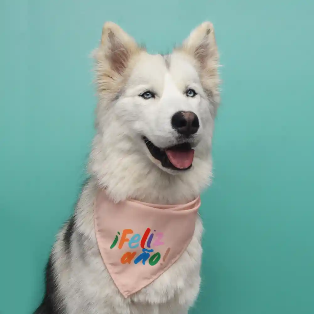 Pañoleta Para Perro Talla M Feliz Año Navidad 2024
