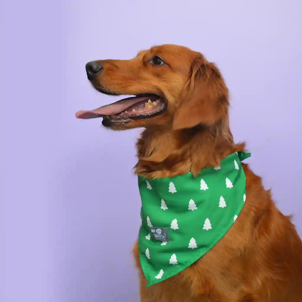 Pañoleta Para Perro Talla M Verde Árboles Navidad 2024