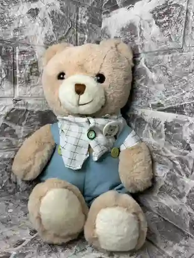 Oso Con Traje Peluche