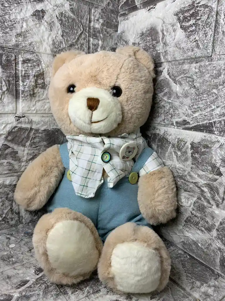 Oso Con Traje Peluche