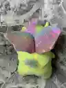Unicornio
