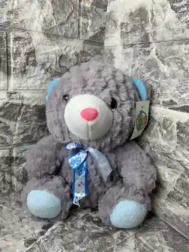 Oso Gris Con Liston