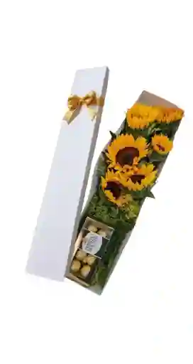 Caja De 5 Girasoles Chocolates X 8