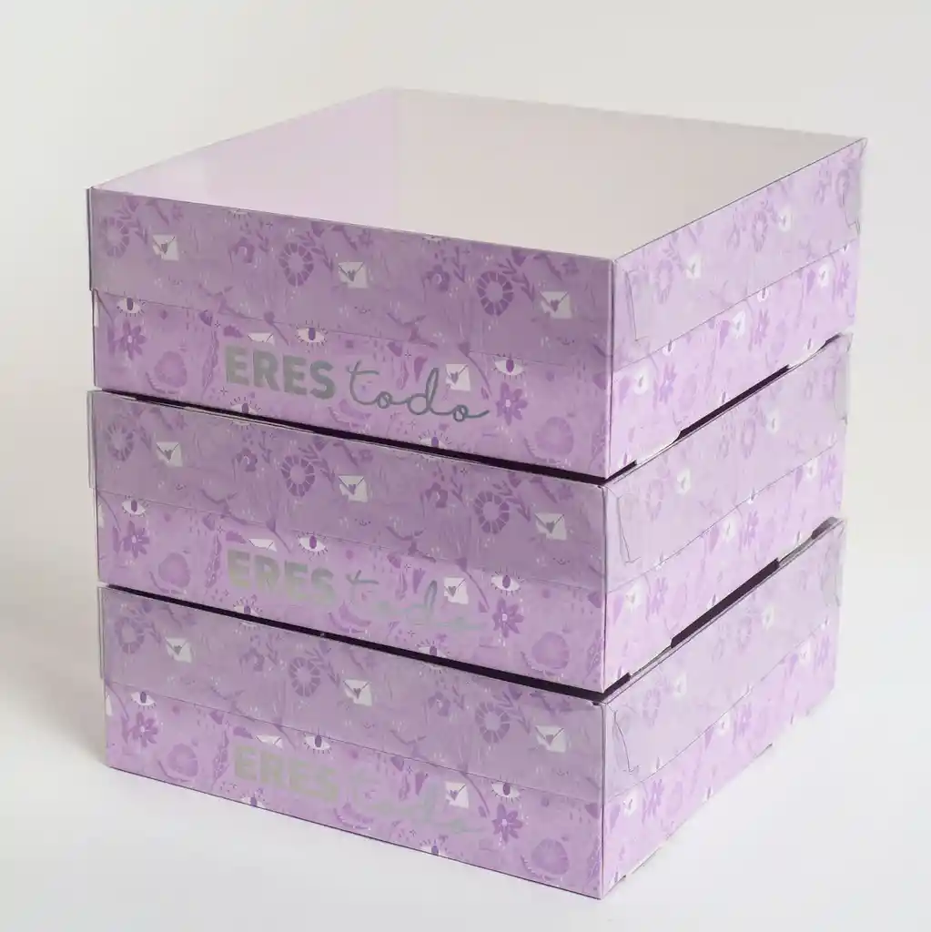 Caja Base Y Tapa Transparente 20x20x7 Cms