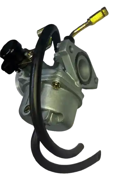 Carburador Moto Boxer Ct - Platino 100