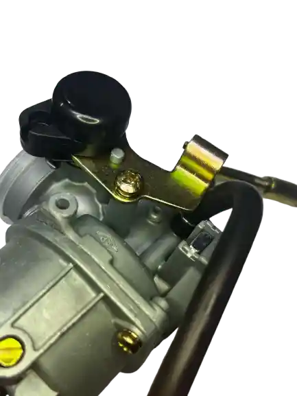 Carburador Moto Boxer Ct - Platino 100