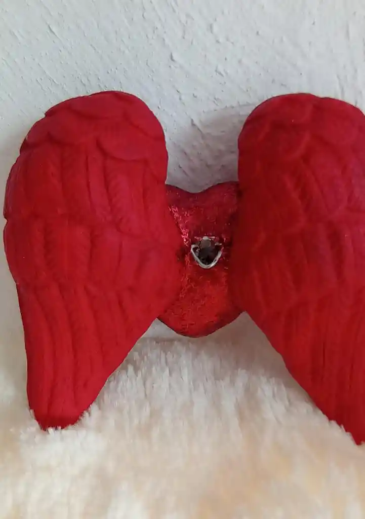 Corazón Con Alas