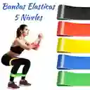 Bandas Elasticas Cerradas X5 Ejercicio Resistencia