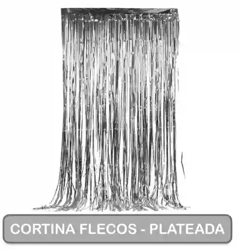 Cortina Cumpleaños Flequillos Plateada