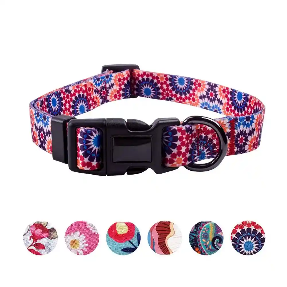 Collar Con Estampado 26-37cm