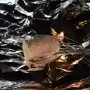 Encendedor Ecológico De Carbón X 4 Unds Volcano
