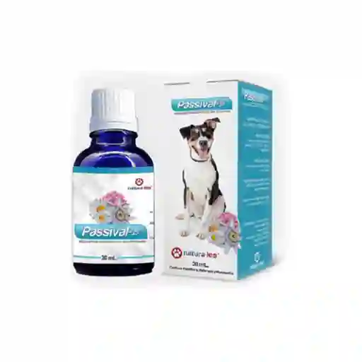 Passival-les Perro
