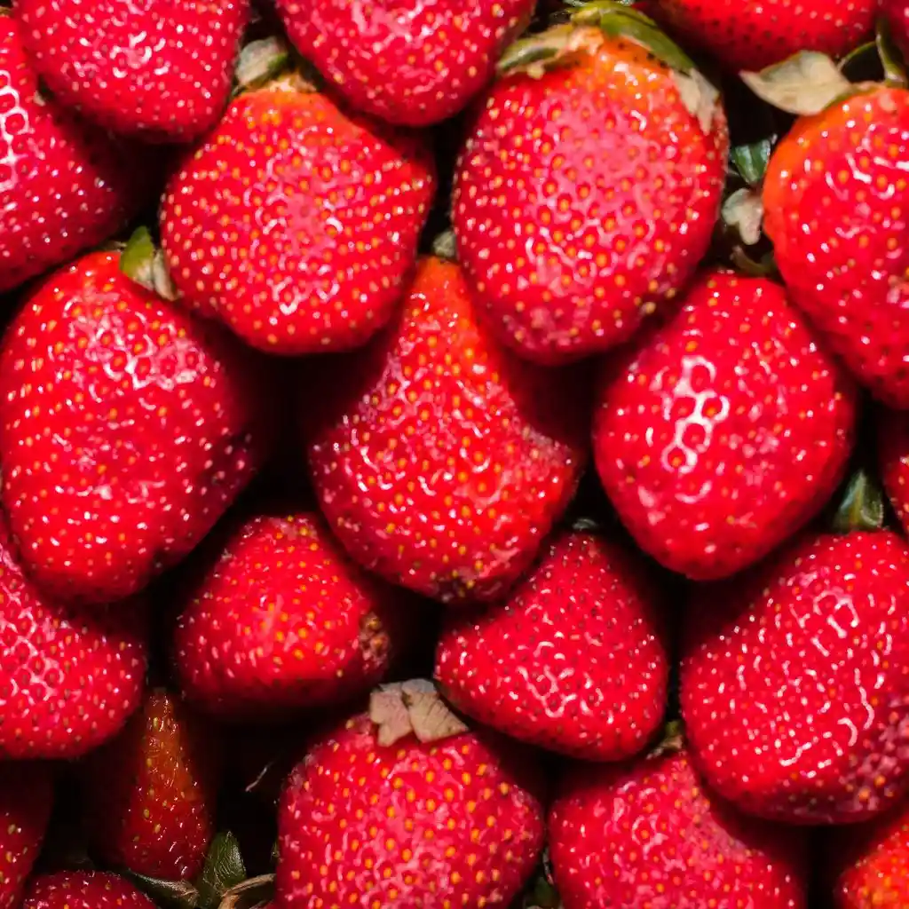 Fresa Yumbo 500gr