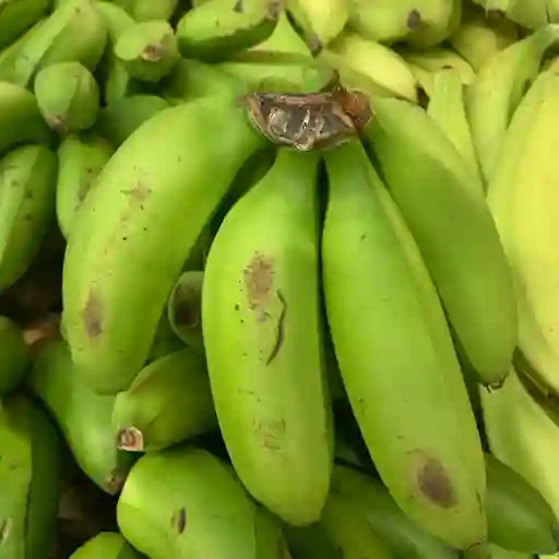 Colicero 500gr