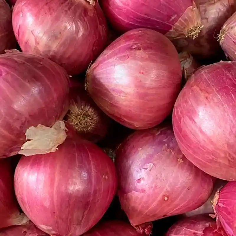 Cebolla Cabezona Morada 500gr