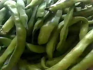 Habas En Vaina 500gr