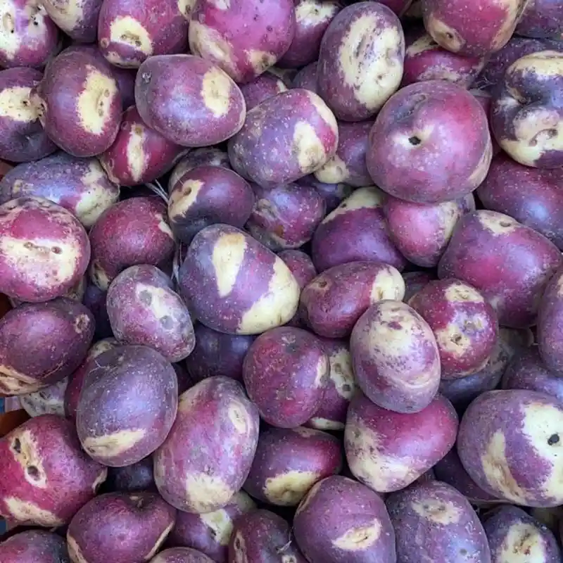 Papa Sabanera 500gr