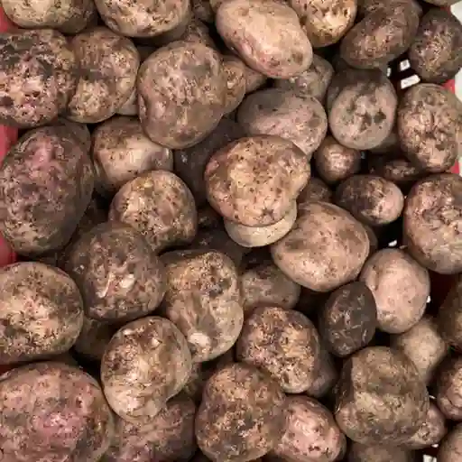 Papa Pastusa 500gr