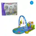 Gimnasio De Actividades Para Bebés