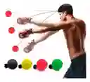 Bola Entrenamiento Boxeo Balon Cabeza Mejora Reflejos Indoor