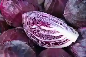 Repollo Morado
