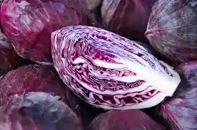Repollo Morado
