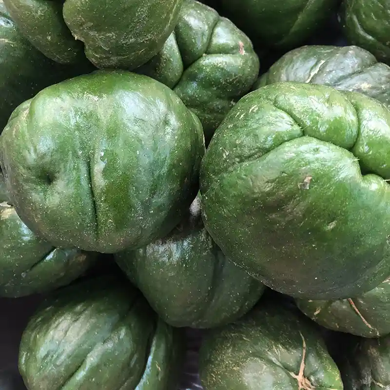 Guatila 500gr