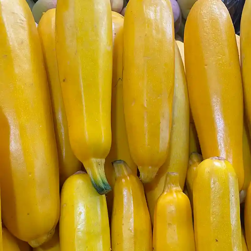 Zukini Amarillo 500gr