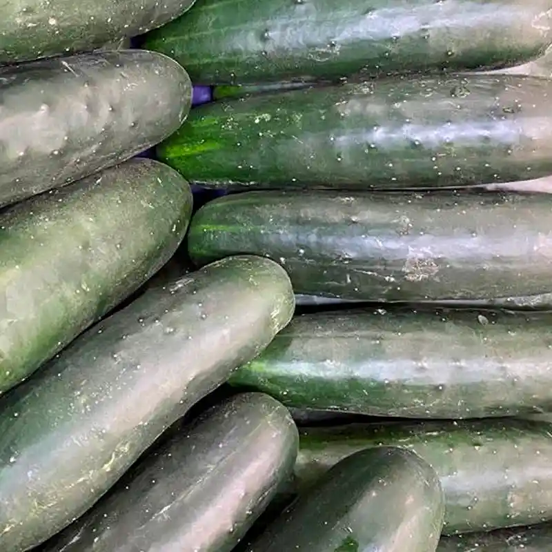 Pepino Cohombro 500gr