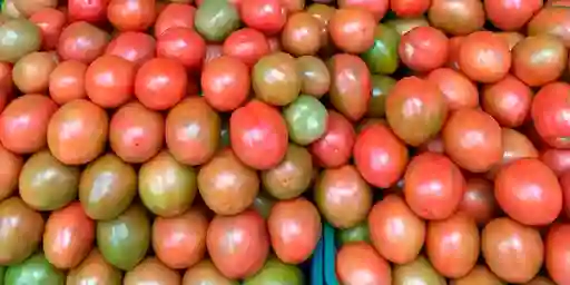 Tomate Chonto 500gr