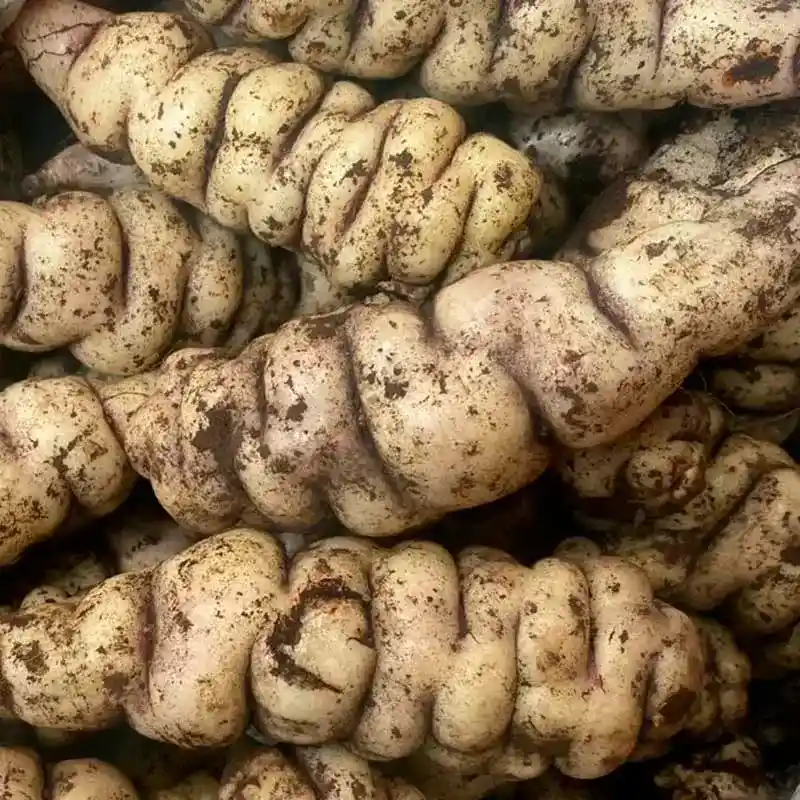 Cubios 500gr