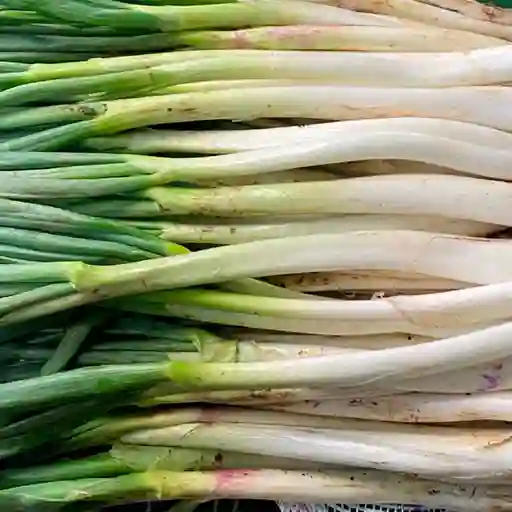 Cebolla Larga 500gr