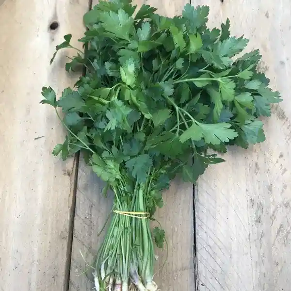 Atado De Perejil Liso